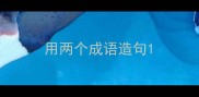 用两个成语造句