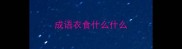 成语衣食什么什么