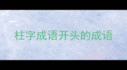 柱字成语开头的成语