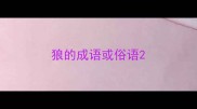 狼的成语或俗语