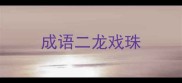 成语二龙戏珠