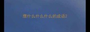 鹰什么什么什么的成语