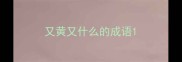 又黄又什么的成语