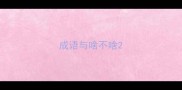 成语与啥不啥