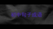 初中句子成语