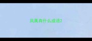 凤凰有什么成语