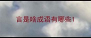 言是啥成语有哪些