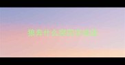 狼奔什么突四字成语