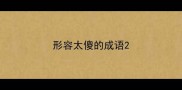 形容太傻的成语