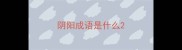 阴阳成语是什么