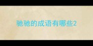 驰驰的成语有哪些