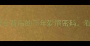 男女成语新解珠联璧合背后的千年爱情密码看懂才能找到对的人
