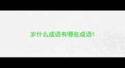 岁什么成语有哪些成语