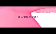 表示重视的成语