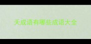 夭成语有哪些成语大全