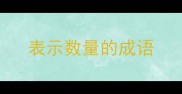 表示数量的成语