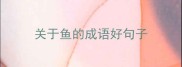 关于鱼的成语好句子