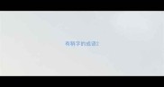 有稍字的成语