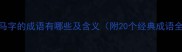 带马字的成语有哪些及含义附20个经典成语全
