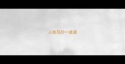 人钱鸟打一成语