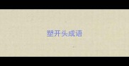 塑开头成语