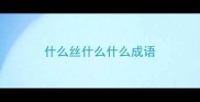 什么丝什么什么成语