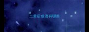 二最后成语有哪些