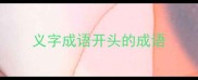 义字成语开头的成语