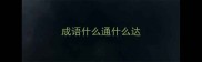 成语什么通什么达
