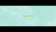 什么成语有掌