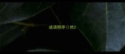 成语秩序然