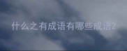 什么之有成语有哪些成语