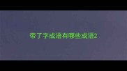 带了字成语有哪些成语