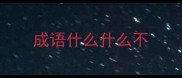 成语什么什么不
