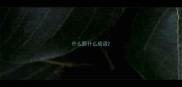 什么题什么成语
