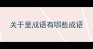 关于里成语有哪些成语