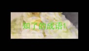 知了的成语