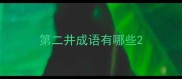 第二井成语有哪些