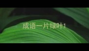 成语一片绿叶