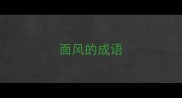 面风的成语