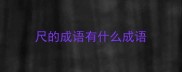 尺的成语有什么成语