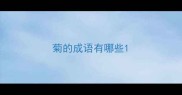 菊的成语有哪些