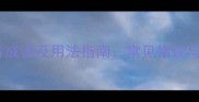 必知20个有春成语及用法指南常见错误与实用技巧全
