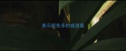 表示颜色多的成语是
