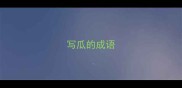 写瓜的成语