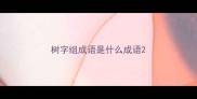 树字组成语是什么成语