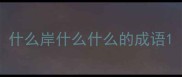 什么岸什么什么的成语