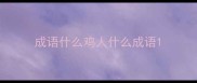 成语什么鸡人什么成语