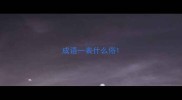 成语一表什么俗