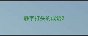 静字打头的成语